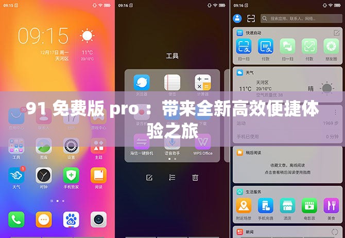 91 免费版 pro ：带来全新高效便捷体验之旅