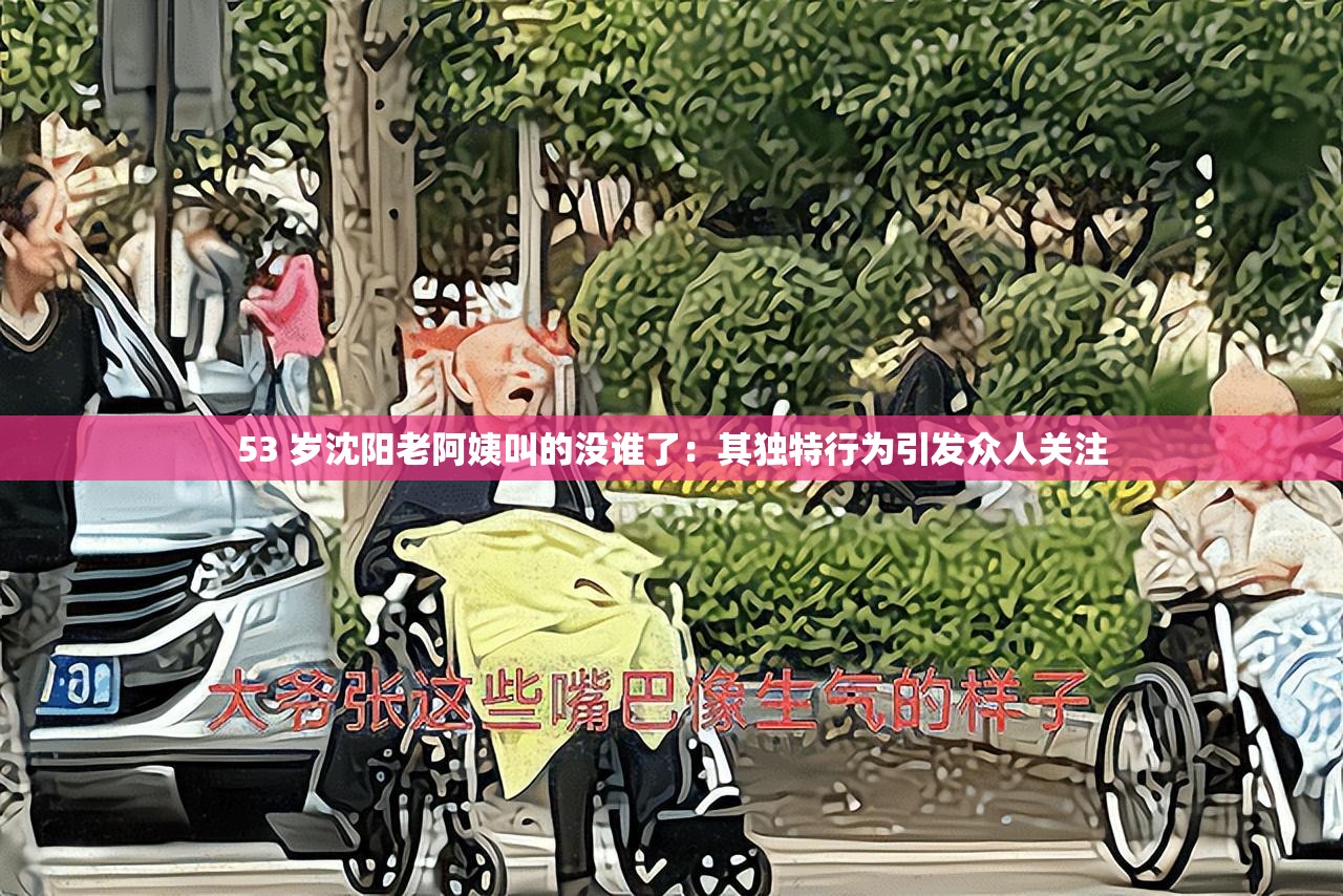 53 岁沈阳老阿姨叫的没谁了：其独特行为引发众人关注