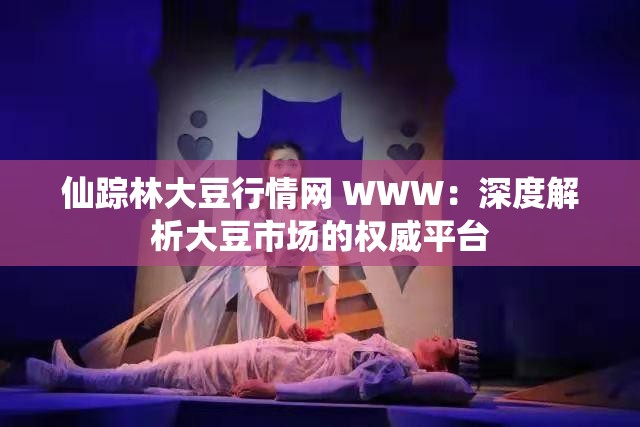 仙踪林大豆行情网 WWW：深度解析大豆市场的权威平台