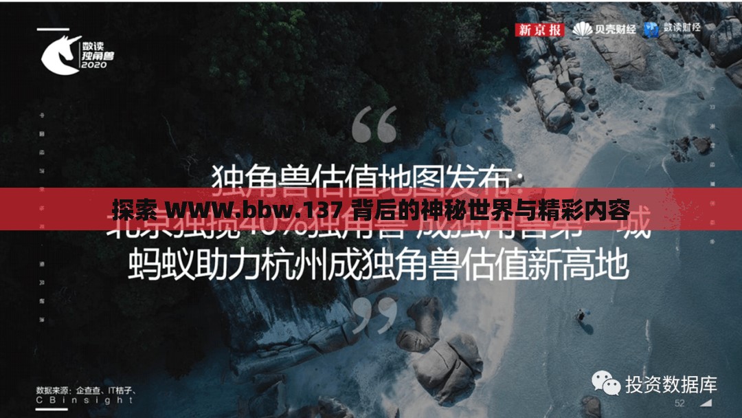 探索 WWW.bbw.137 背后的神秘世界与精彩内容