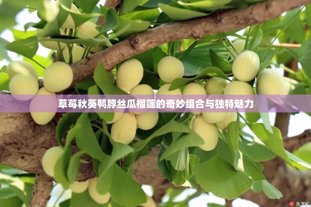 草莓秋葵鸭脖丝瓜榴莲的奇妙组合与独特魅力