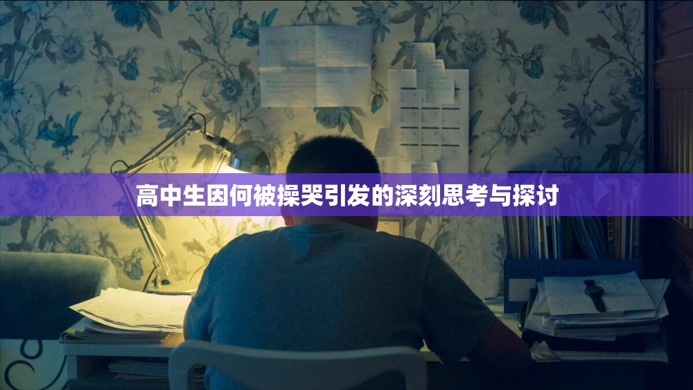 高中生因何被操哭引发的深刻思考与探讨