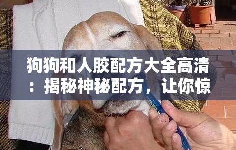 狗狗和人胶配方大全高清：揭秘神秘配方，让你惊叹不已