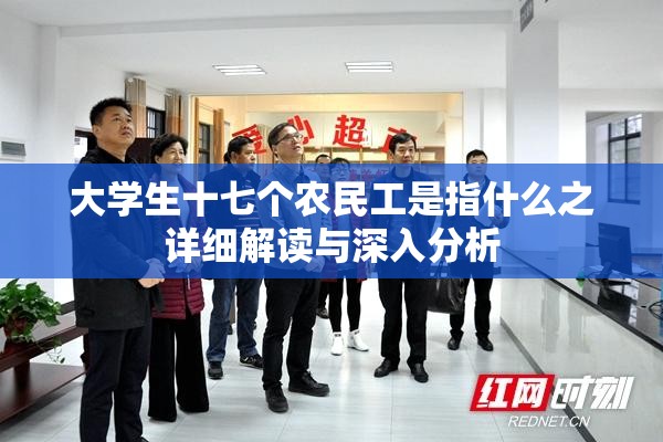 大学生十七个农民工是指什么之详细解读与深入分析
