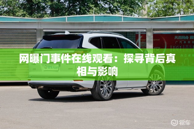 网曝门事件在线观看：探寻背后真相与影响