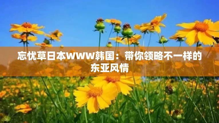 忘忧草日本WWW韩国：带你领略不一样的东亚风情