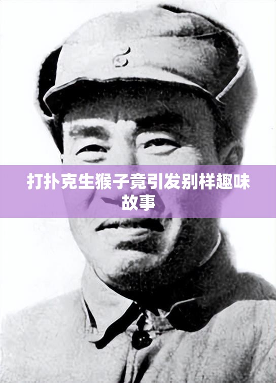 打扑克生猴子竟引发别样趣味故事