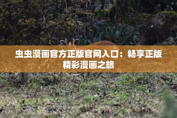 虫虫漫画官方正版官网入口：畅享正版精彩漫画之旅