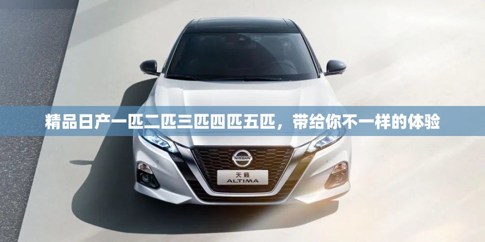 精品日产一匹二匹三匹四匹五匹，带给你不一样的体验