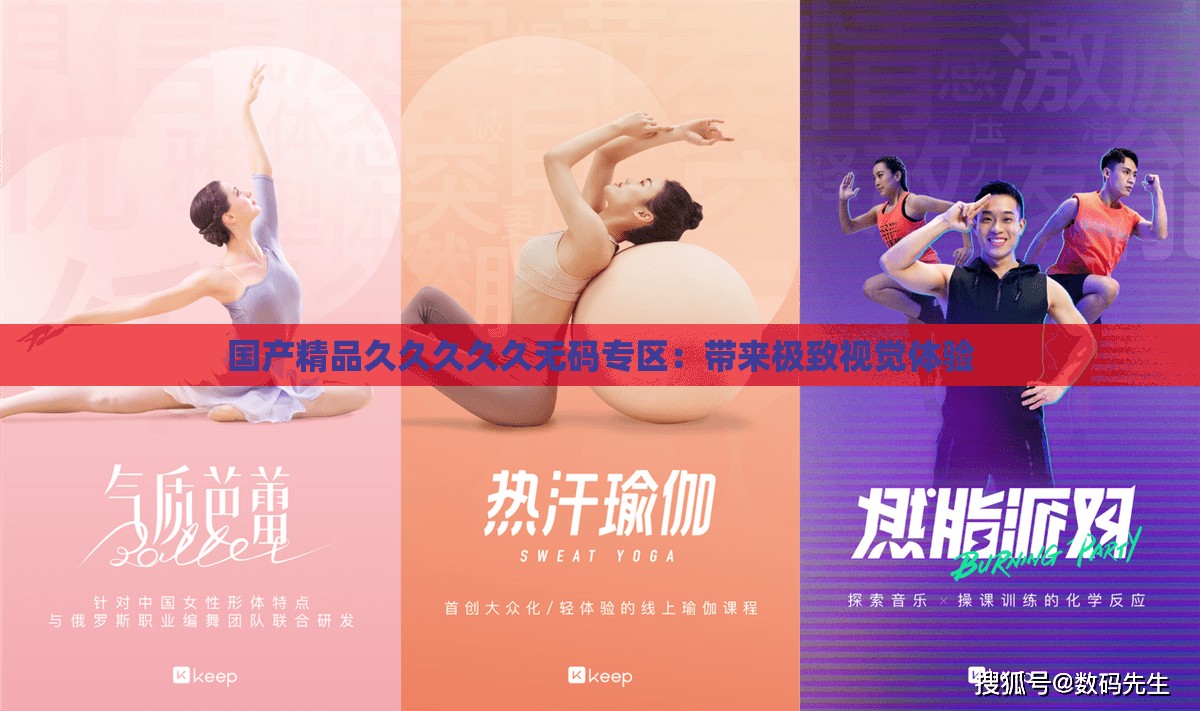 国产精品久久久久久无码专区：带来极致视觉体验