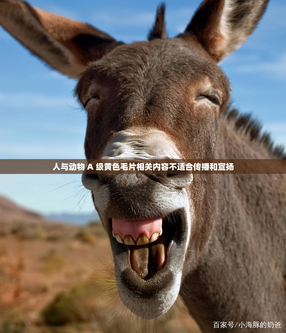 人与动物 A 级黄色毛片相关内容不适合传播和宣扬