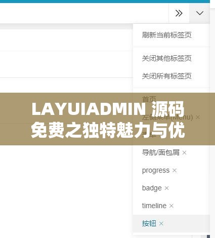 LAYUIADMIN 源码免费之独特魅力与优势解读