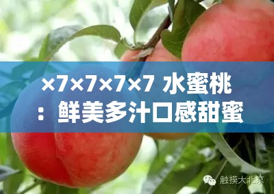 ×7×7×7×7 水蜜桃：鲜美多汁口感甜蜜的水果之王