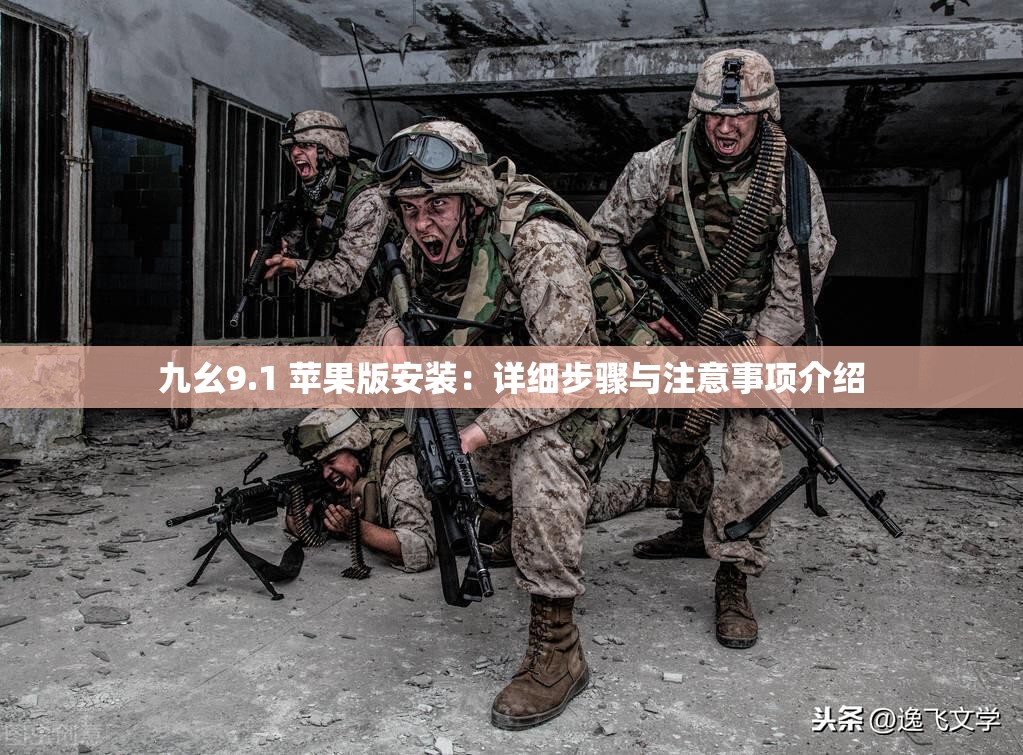 九幺9.1 苹果版安装：详细步骤与注意事项介绍