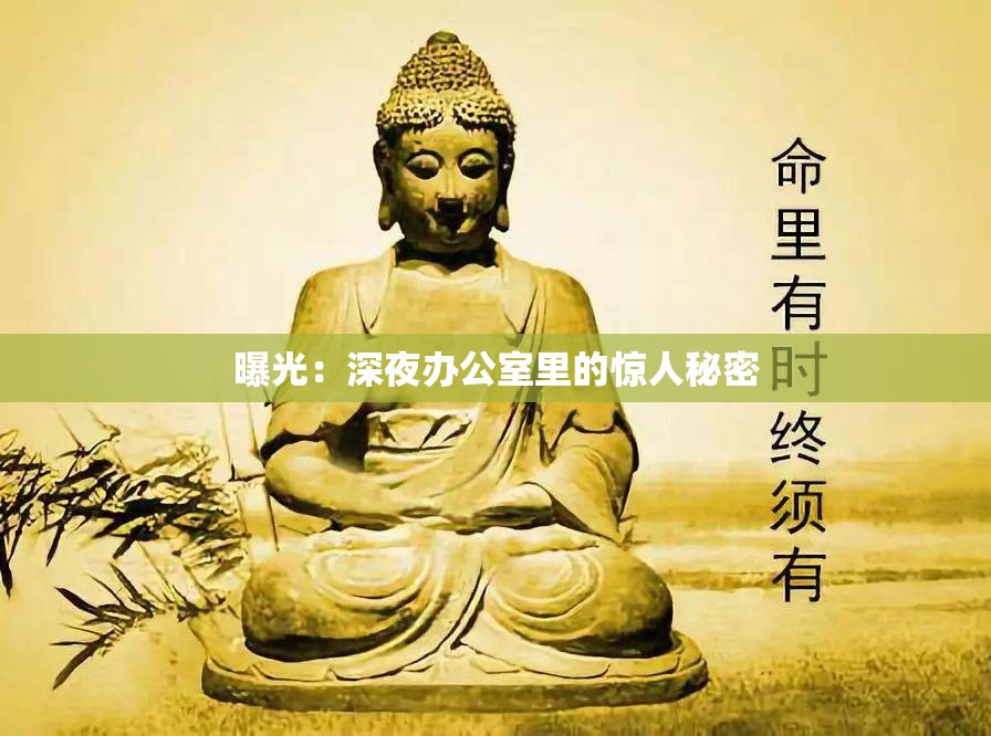 曝光：深夜办公室里的惊人秘密