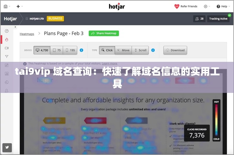 tai9vip 域名查询：快速了解域名信息的实用工具