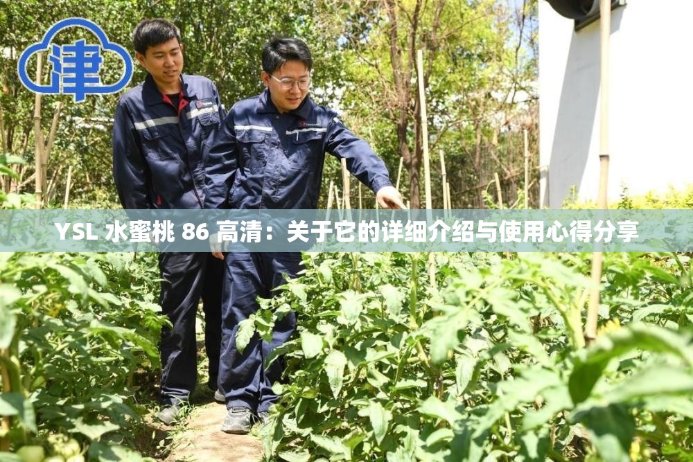 YSL 水蜜桃 86 高清：关于它的详细介绍与使用心得分享