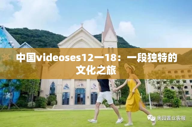 中国videoses12一18：一段独特的文化之旅