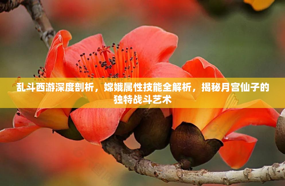 乱斗西游深度剖析，嫦娥属性技能全解析，揭秘月宫仙子的独特战斗艺术