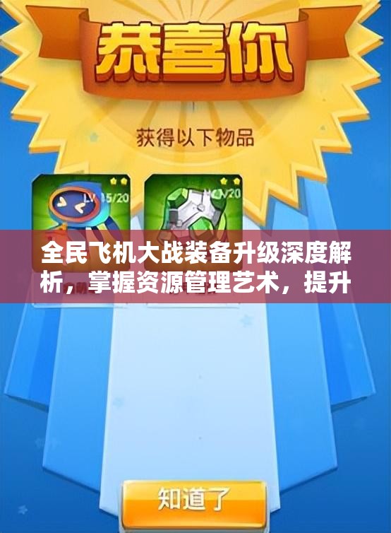 全民飞机大战装备升级深度解析，掌握资源管理艺术，提升战力心得技巧