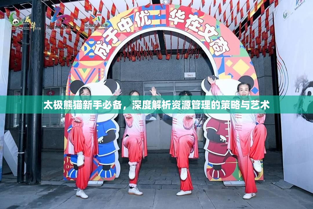 太极熊猫新手必备，深度解析资源管理的策略与艺术