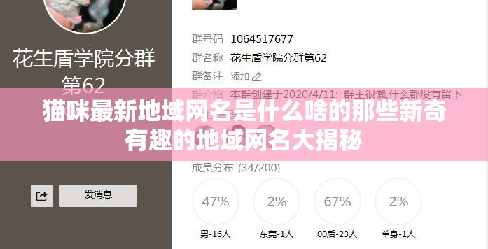 猫咪最新地域网名是什么啥的那些新奇有趣的地域网名大揭秘