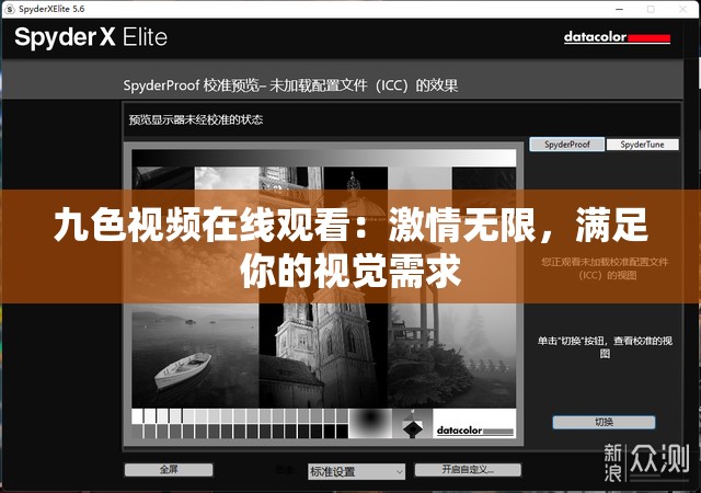 九色视频在线观看：激情无限，满足你的视觉需求