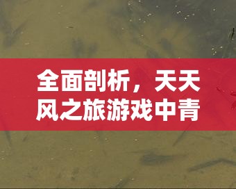 全面剖析，天天风之旅游戏中青蛙王子的具体解锁条件与要求