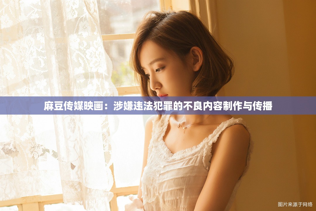 麻豆传媒映画：涉嫌违法犯罪的不良内容制作与传播