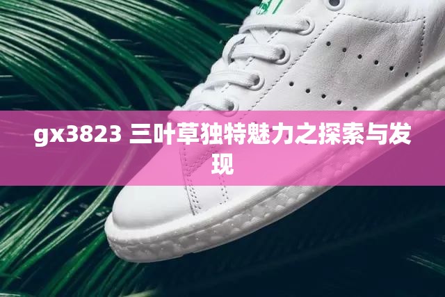 gx3823 三叶草独特魅力之探索与发现