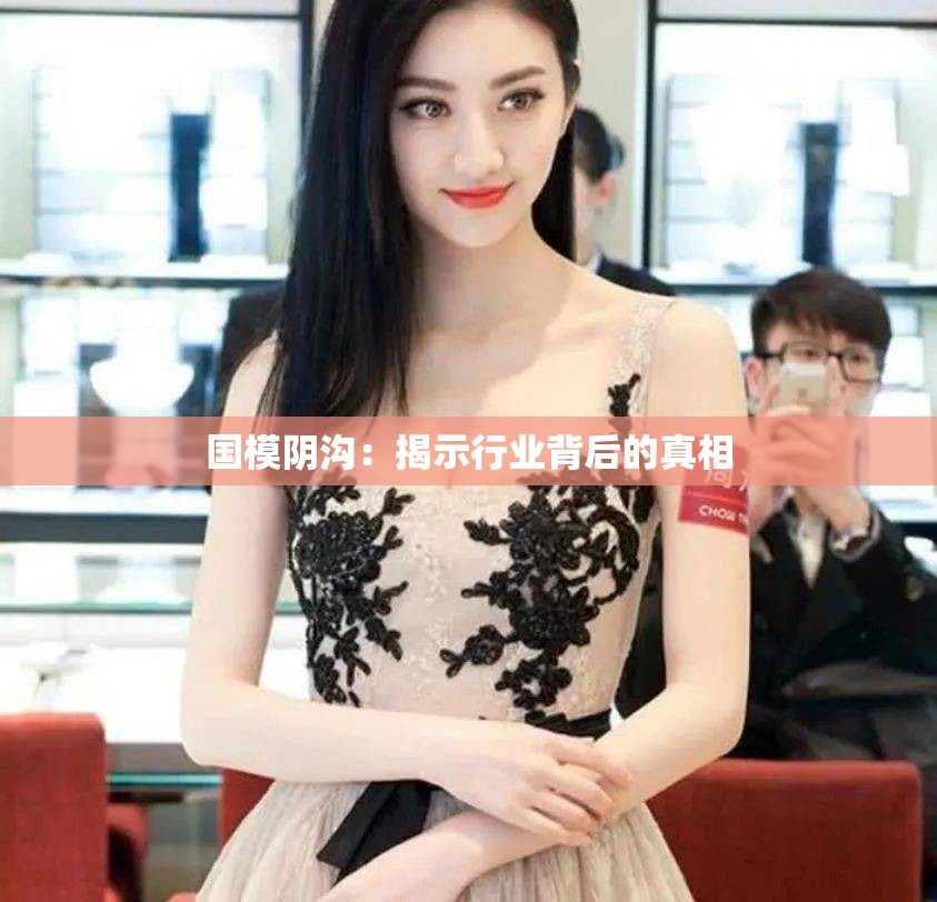 国模阴沟：揭示行业背后的真相