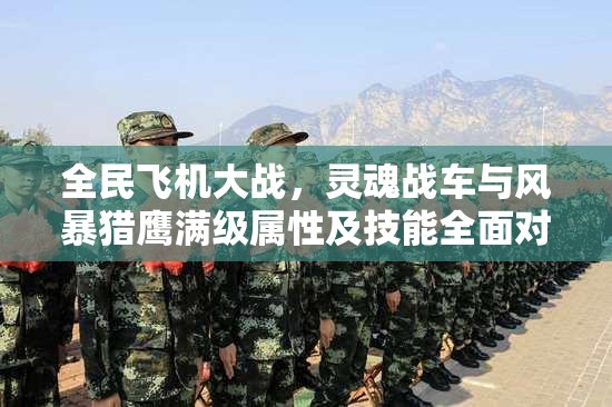 全民飞机大战，灵魂战车与风暴猎鹰满级属性及技能全面对比