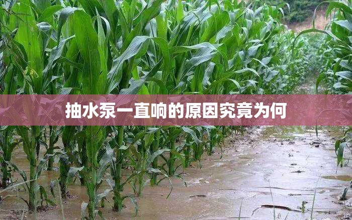 抽水泵一直响的原因究竟为何