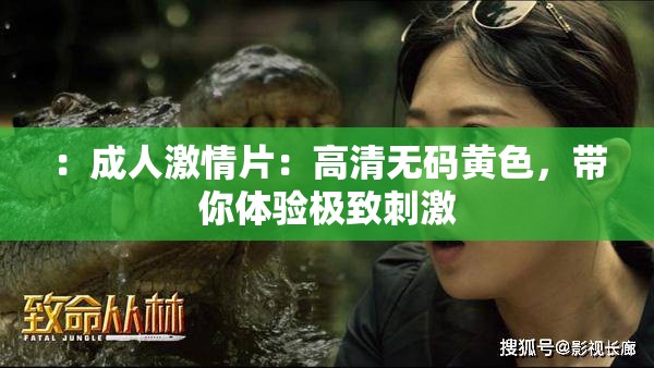 ：成人激情片：高清无码黄色，带你体验极致刺激