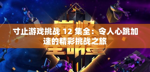 寸止游戏挑战 12 集全：令人心跳加速的精彩挑战之旅