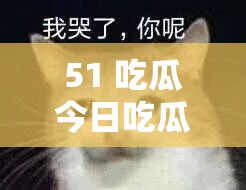 51 吃瓜今日吃瓜必吃胖猫快来一起吃瓜啦