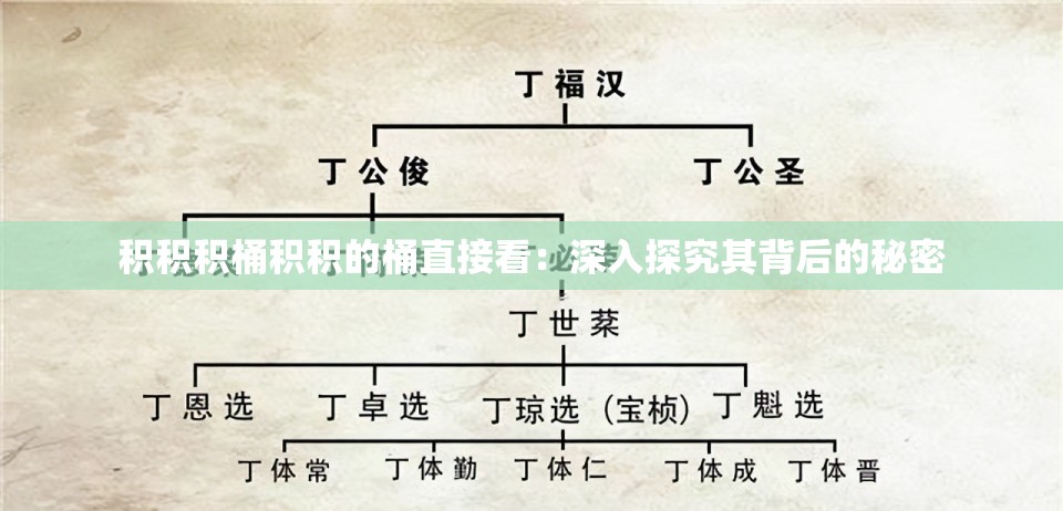 积积积桶积积的桶直接看：深入探究其背后的秘密