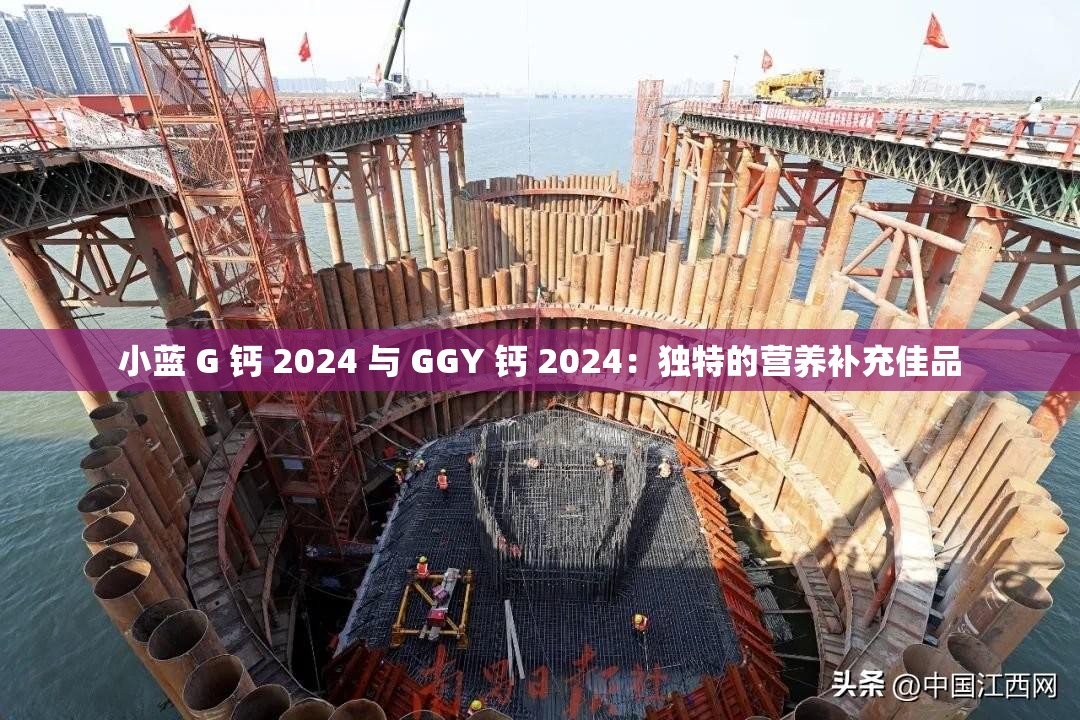 小蓝 G 钙 2024 与 GGY 钙 2024：独特的营养补充佳品