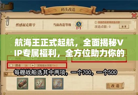 航海王正式起航，全面揭秘VIP专属福利，全方位助力你的精彩航海之旅