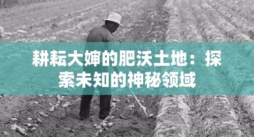 耕耘大婶的肥沃土地：探索未知的神秘领域