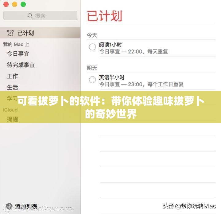 可看拔萝卜的软件：带你体验趣味拔萝卜的奇妙世界