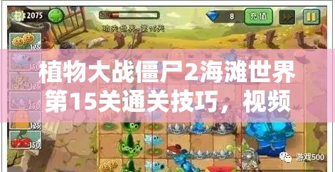 植物大战僵尸2海滩世界第15关通关技巧，视频攻略深度解析与策略指导