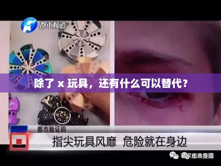 除了 x 玩具，还有什么可以替代？