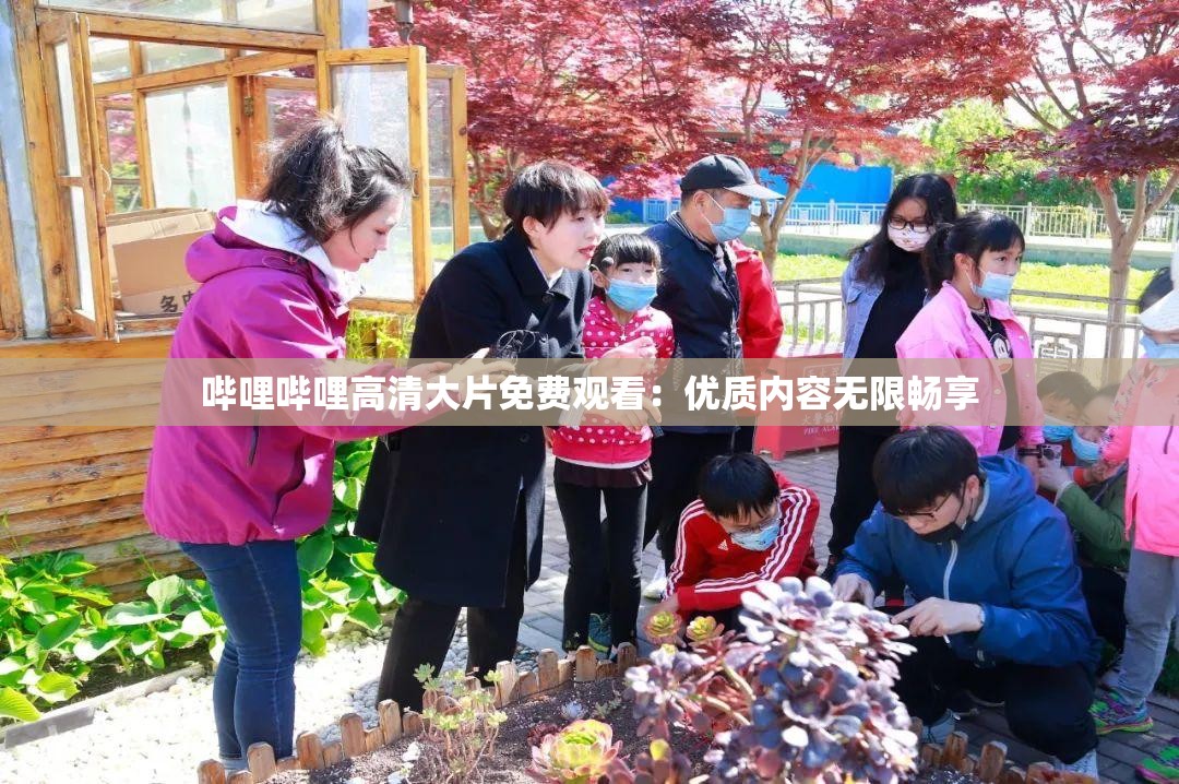 哔哩哔哩高清大片免费观看：优质内容无限畅享