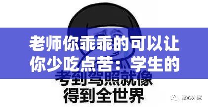 老师你乖乖的可以让你少吃点苦：学生的真心劝告