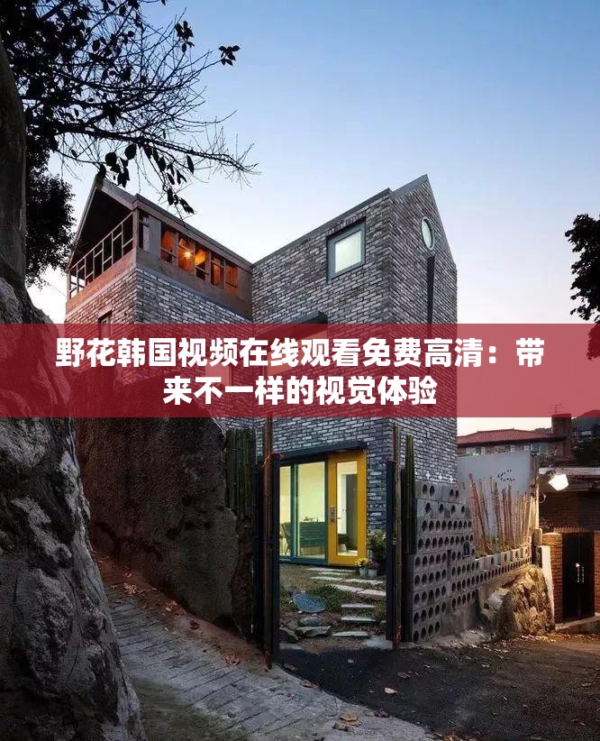 野花韩国视频在线观看免费高清：带来不一样的视觉体验