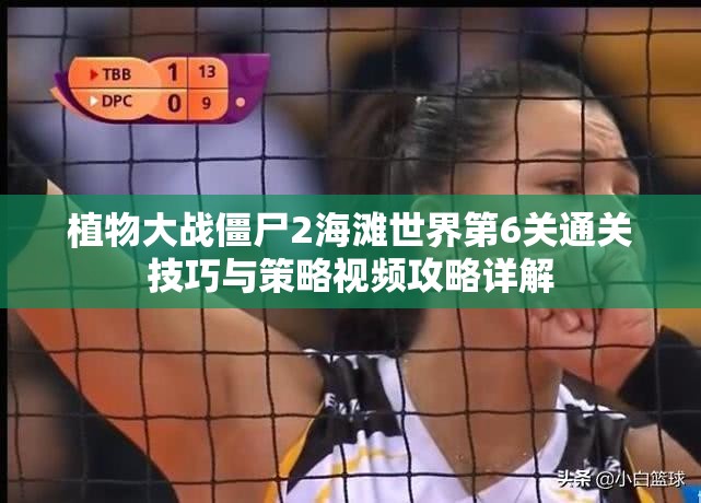 植物大战僵尸2海滩世界第6关通关技巧与策略视频攻略详解