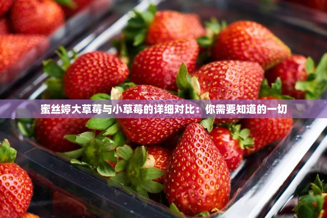 蜜丝婷大草莓与小草莓的详细对比：你需要知道的一切
