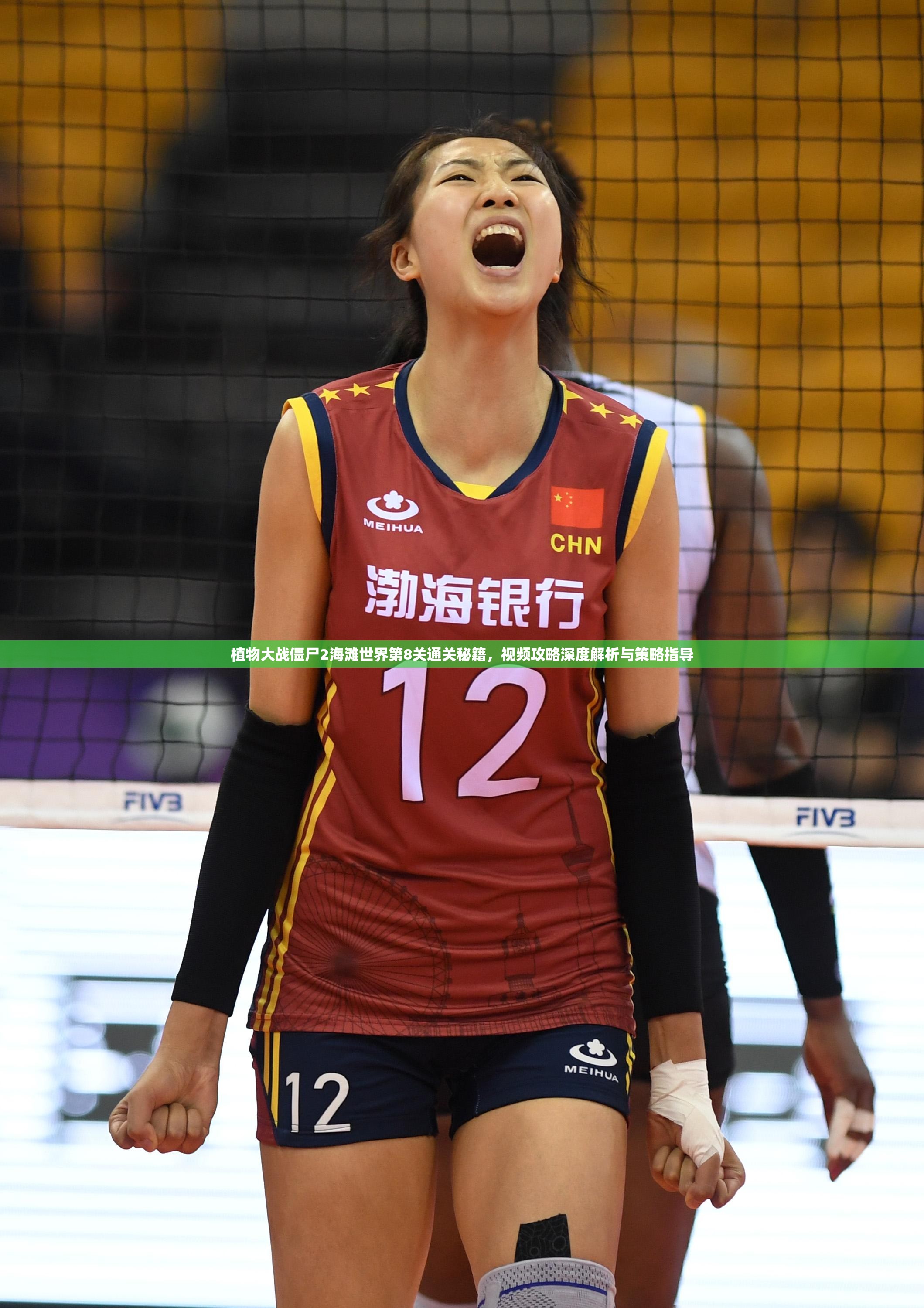 植物大战僵尸2海滩世界第8关通关秘籍，视频攻略深度解析与策略指导