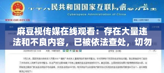 麻豆视传媒在线观看：存在大量违法和不良内容，已被依法查处，切勿观看